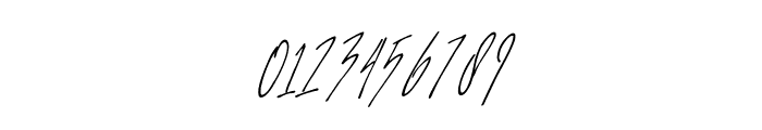 SlenderThin Italic Font OTHER CHARS