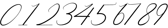 Smith Signature Font OTHER CHARS