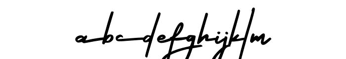 Smooth Signature Font LOWERCASE