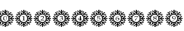 SnowflakeMonogram Font OTHER CHARS