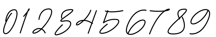 Sochiko Signature Font OTHER CHARS