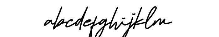 Sochiko Signature Font LOWERCASE