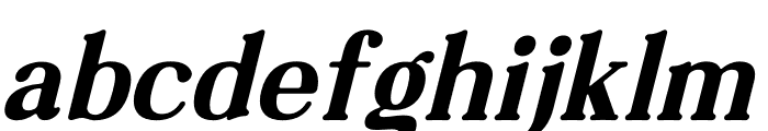 Softers Italic Font LOWERCASE