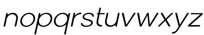 SolenSoft-LightItalic Font LOWERCASE