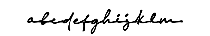 Sonira Signature Font LOWERCASE