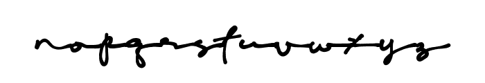 Sonira Signature Font LOWERCASE