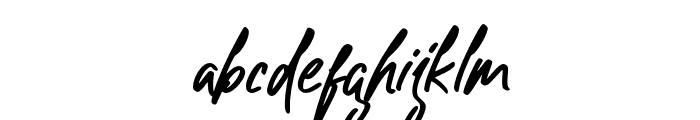 Sophiaticha-Regular Font LOWERCASE