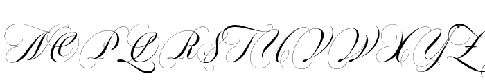 SouthwesternCalligraphyPro-Rg Font UPPERCASE