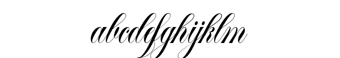 SouthwesternCalligraphyPro-Rg FONT