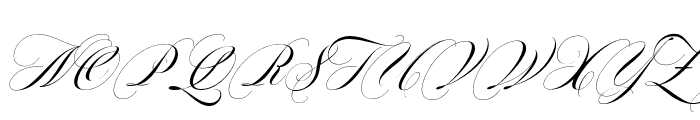 SouthwesternCalligraphyPro-Sl Font UPPERCASE
