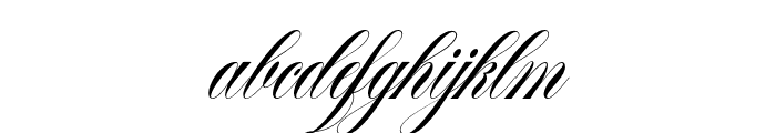 SouthwesternCalligraphyPro-Sl FONT