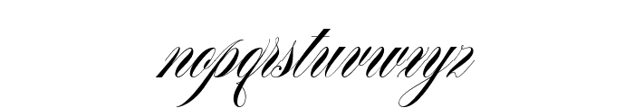 SouthwesternCalligraphyPro-Sl Font LOWERCASE