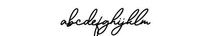 Sparkling Bright Signature Font LOWERCASE