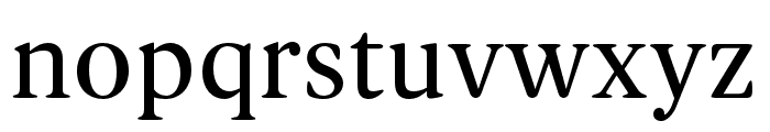 Spaziel Serif Round Font LOWERCASE
