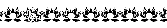 Spirit Lotus Mandala Monogram Font OTHER CHARS