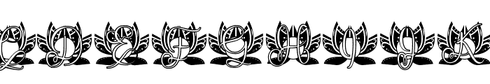 Spirit Lotus Mandala Monogram Font UPPERCASE