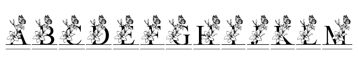 Split Lily Flower Font UPPERCASE