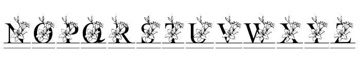 Split Lily Flower Font LOWERCASE
