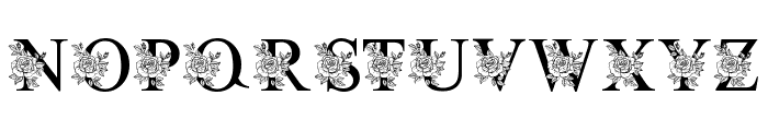 Split Rose Flower Font LOWERCASE
