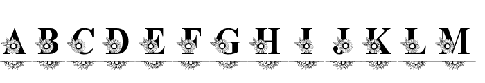 Split Sunflower Monogram Font UPPERCASE