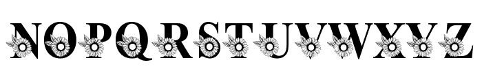 Split Sunflower Monogram Font LOWERCASE