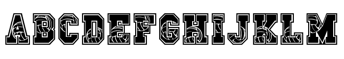Sport Champs Volleyball Regular Font LOWERCASE