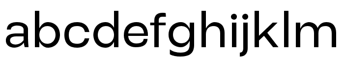 SrabenGrotesk-Medium Font LOWERCASE