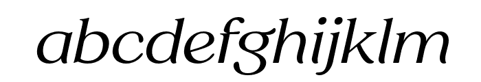 SregsSerifDisplay-Italic Font LOWERCASE