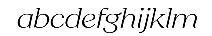 SregsSerifDisplay-LightItalic Font LOWERCASE