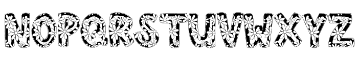 St PatricksDaydaisy Font LOWERCASE