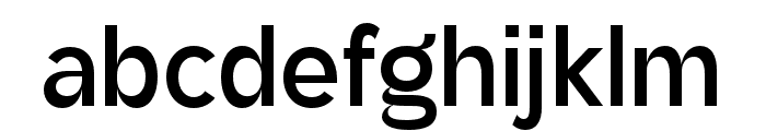 Stagnan-Medium Font LOWERCASE