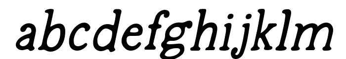 StarfruitCelesSerif-Italic Font LOWERCASE