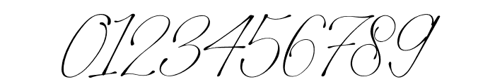 Stelaroy Italic Font OTHER CHARS