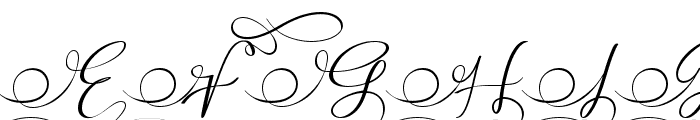 Stella Calligraphy Font UPPERCASE