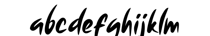 Stellafox Italic Font LOWERCASE
