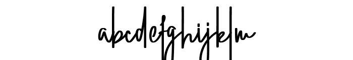 Straight Signature Font LOWERCASE