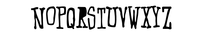 StussyPro-Caps Font LOWERCASE