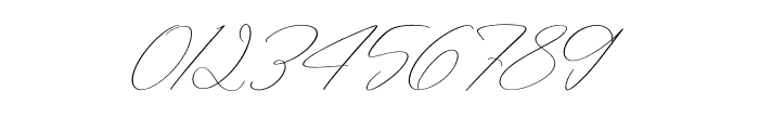 Styelad Initials Italic Font OTHER CHARS