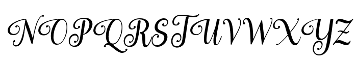 Stylisty Script Italic Font UPPERCASE