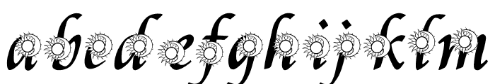 Sun  Moon FONT