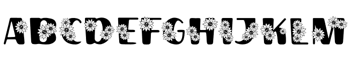 Sunfa Font LOWERCASE