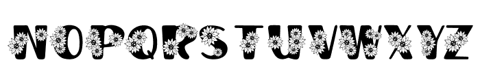 Sunfa Font LOWERCASE