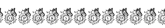 Sunflower Butterfly Monogram Font LOWERCASE