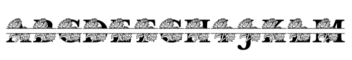 Sunflower MNGRM Split Font UPPERCASE