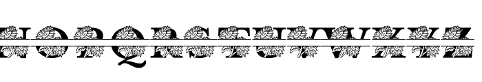 Sunflower MNGRM Split Font UPPERCASE