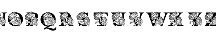 Sunflower MNGRM Font UPPERCASE