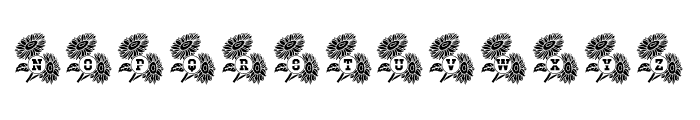 Sunflower Mono Split Font UPPERCASE