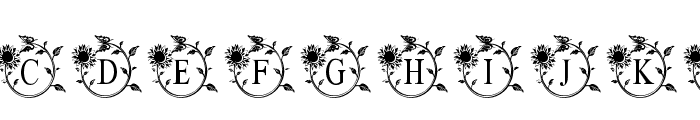 SunflowerMonogram Font LOWERCASE