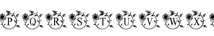 SunflowerMonogram Font LOWERCASE