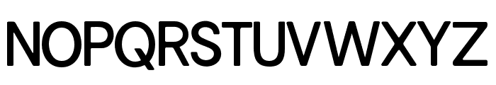 Sunquake Calm Regular Font UPPERCASE
